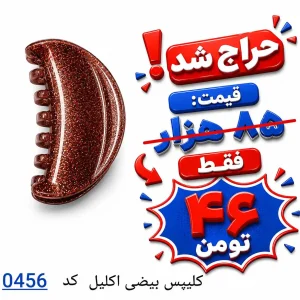 کلیپس بیضی اکلیل 0456