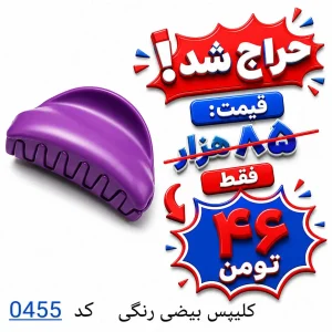 کلیپس بیضی رنگی 0455